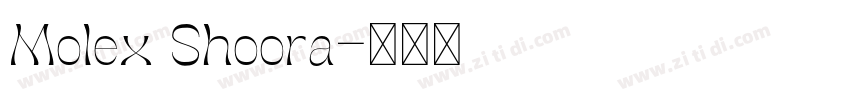 Molex Shoora字体转换